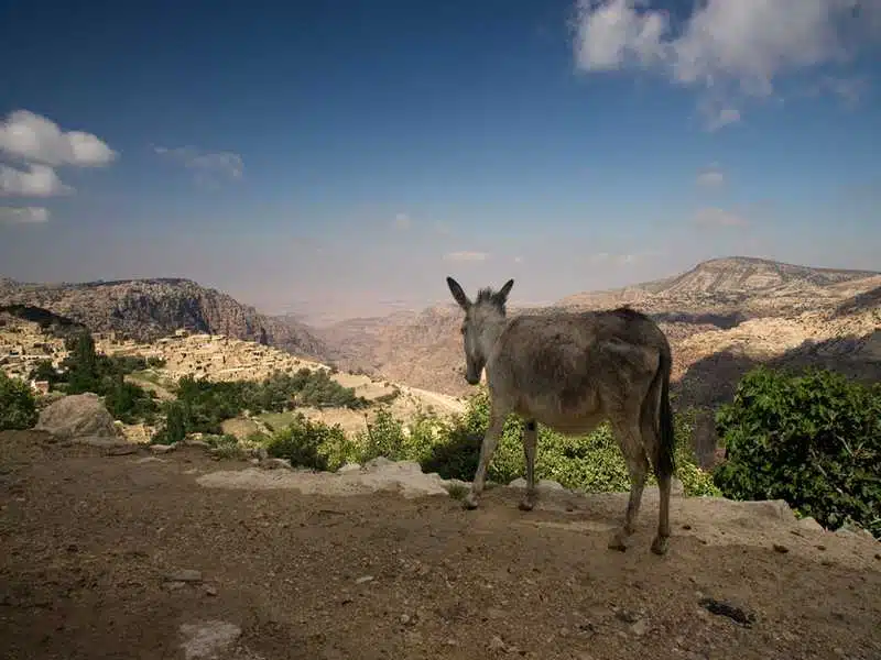 Naturreservat Dana 